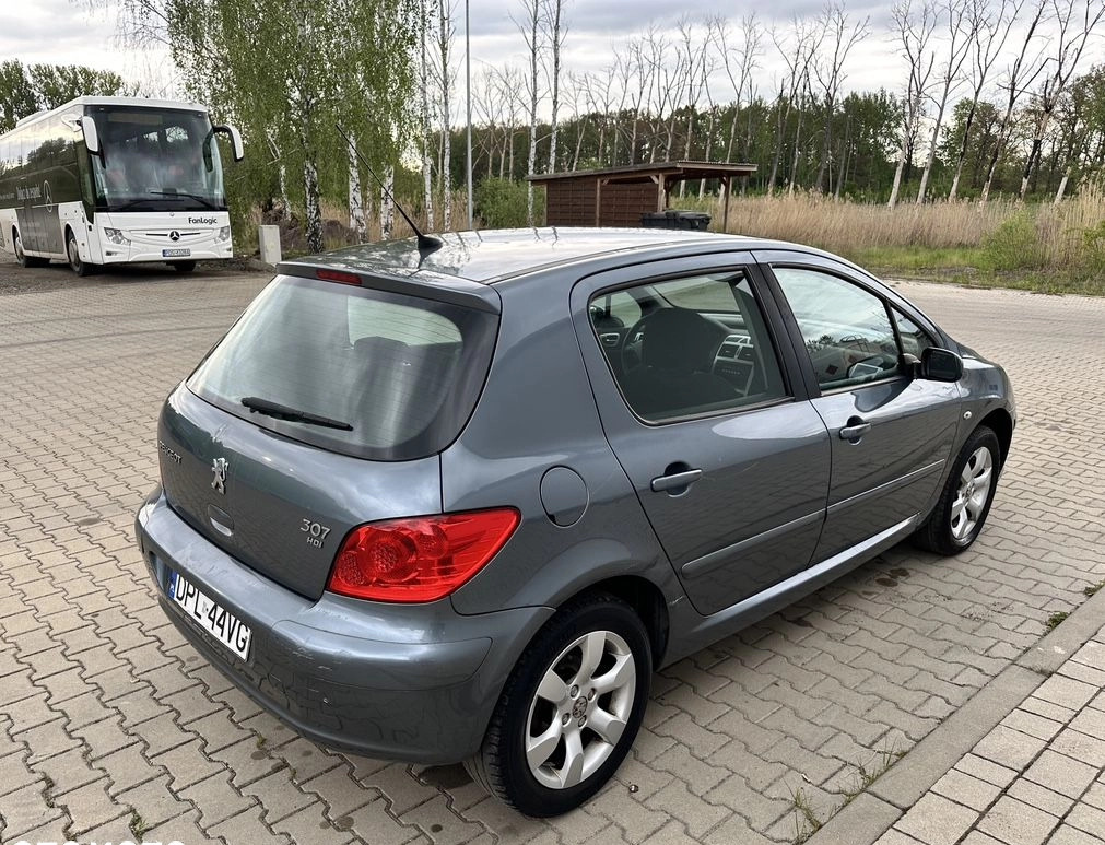 Peugeot 307 cena 7900 przebieg: 198929, rok produkcji 2005 z Chocianów małe 436